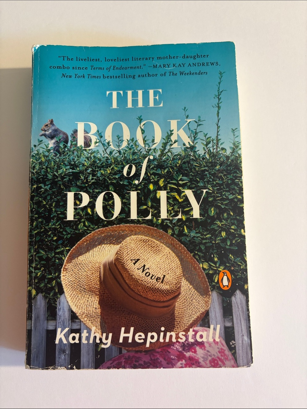 Original Penguin Straw Hat Graphic Book Cover with Blue and Green
